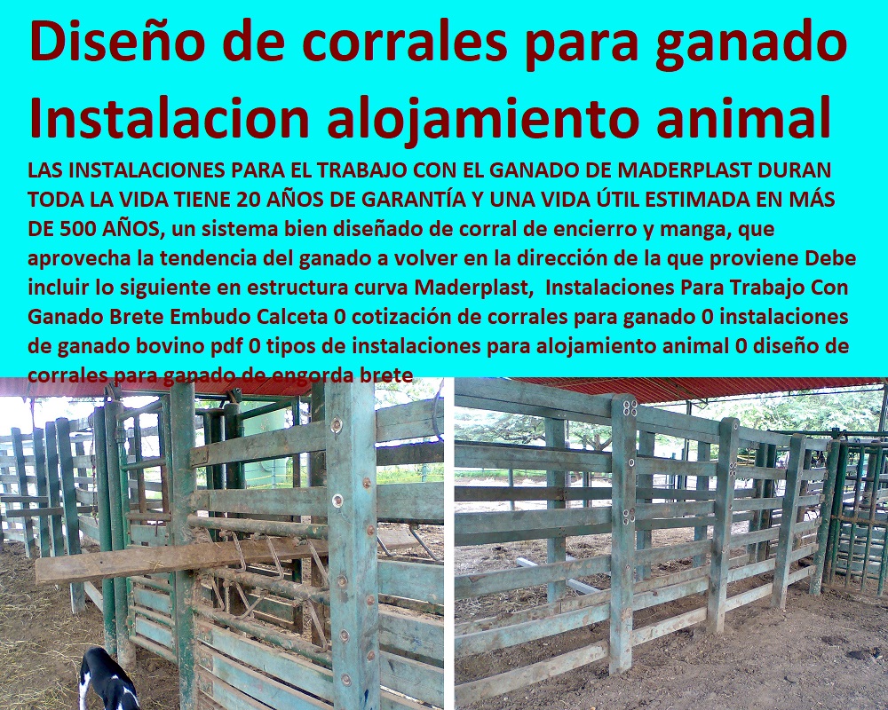 Instalaciones Para Trabajo Con Ganado Brete Embudo Calceta 0 Pesebreras De Caballos, Plaza Toros, Brete Ganadero, Apretaderos Embarcaderos, Postes Tablas, Corral Caballerizas, Polines Varetas, Mangas De Coleo, Horcones Madera Plástica, Corrales, Establos De Ganado, Mangas De Coleo, cotización de corrales para ganado 0 instalaciones de ganado bovino pdf 0 tipos de instalaciones para alojamiento animal 0 diseño de corrales para ganado de engorda brete Instalaciones Para Trabajo Con Ganado Brete Embudo Calceta 0 cotización de corrales para ganado 0 instalaciones de ganado bovino pdf 0 tipos de instalaciones para alojamiento animal 0 diseño de corrales para ganado de engorda brete